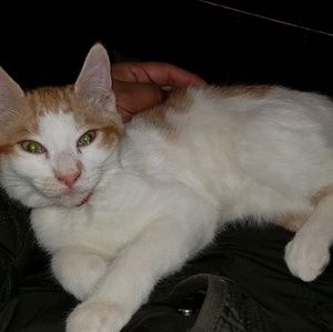 Meet your Posher, Nuvia